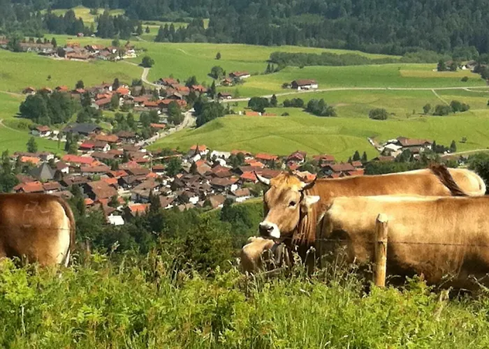 Alpentraum - Alpentraum Apartmán Obermaiselstein